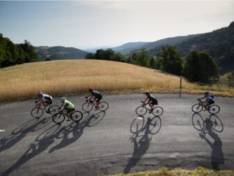 {{brizy_dc_image_alt entityId=