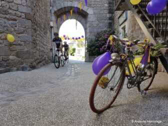 {{brizy_dc_image_alt entityId=