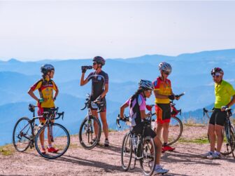 {{brizy_dc_image_alt entityId=