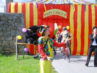 {{brizy_dc_image_alt entityId=