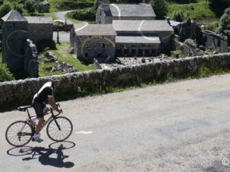 {{brizy_dc_image_alt entityId=